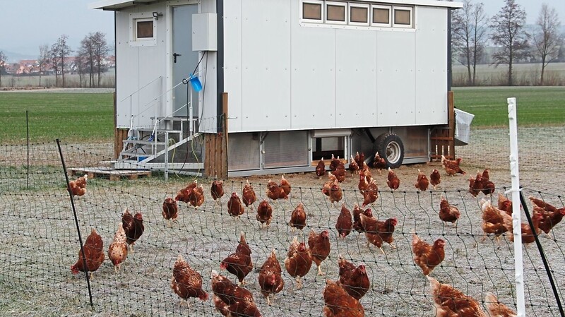 Das mobile Hühnerhaus garantiert wöchentlich eine frische Wiese.