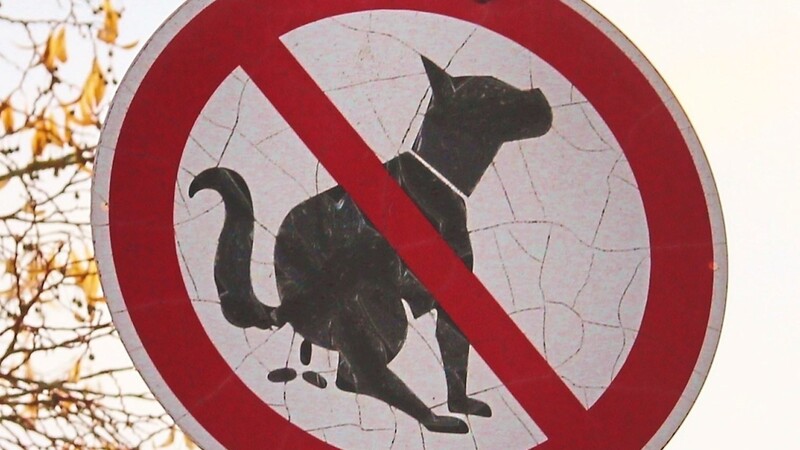 Ein Schild weist an der Schule bereits darauf hin, dass das Gelände kein Hunde-Klo ist.