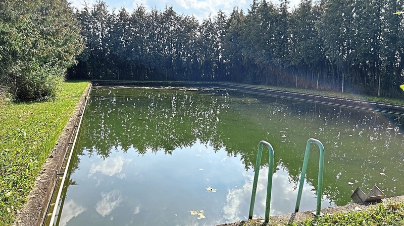 Das Überlaufbecken der Quelle soll bald wieder zum Schwimmen genutzt werden. Das gehört zu den näcchsten Renovierungsschritten.