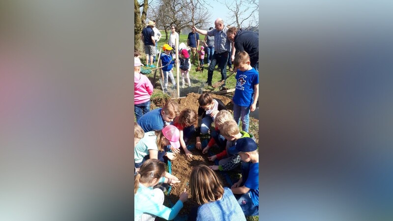 Die Kinder halfen Robert Aigner und Rainer Leipold, für den Birnbaum "Harrow Sweet" ein Pflanzloch auszuheben, in dem es viel Kleingetier zu entdecken gab.