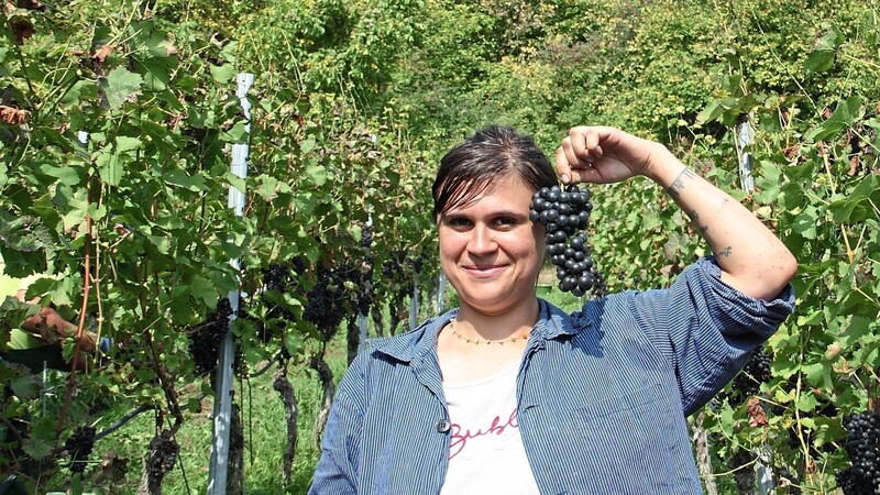 Christine Wolfram ist die neue Winzerin des Weinbergs der Stadt Regensburg. Sie kümmert sich um die diesjährige Ernte und die Verarbeitung des Weins.