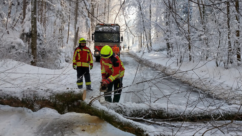 Auch die Landshuter Feuerwehr musste zu einigen Einsätzen wegen Schneebruchs ausrücken.