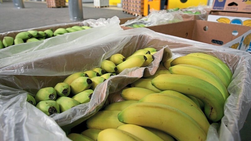 In Bananenkisten in mehreren Supermärkten in Bayern fanden die Mitarbeiter neben den Früchten auch Kokain.