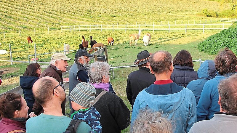 Josef Huber (r.) stellt den Besuchern seinen Biohof vor. Im Hintergrund ist die Aronia-Plantage und Lamas auf der Weide zu sehen.