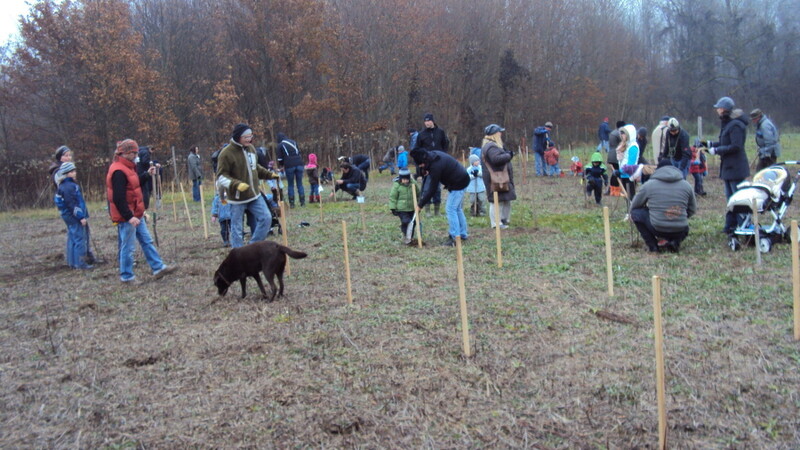 Bei einer Pflanzaktion können wieder viele Teilnehmer ihre Baumsetzlinge im Landshuter Klimawald anpflanzen.