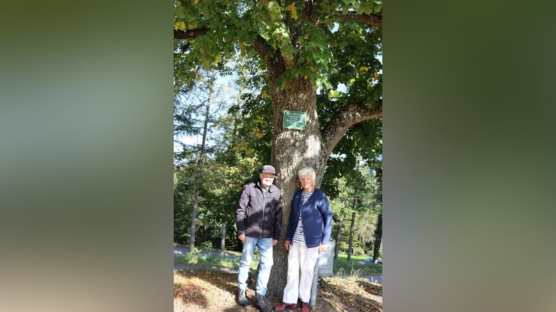 Hans Wanninger aus Sankt Englmar und Ingrid Fuchs-Süß sind sich am Bogenberg das erste Mal begegnet. Anlass war der Lindenbaum.