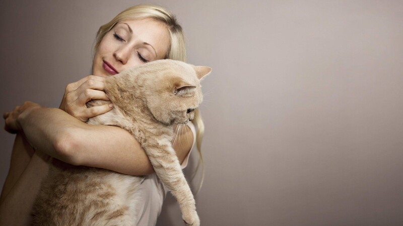 Eine Frau schmust mit ihrer Katze - die typische Haustierbesitzerin, besagt eine Studie.