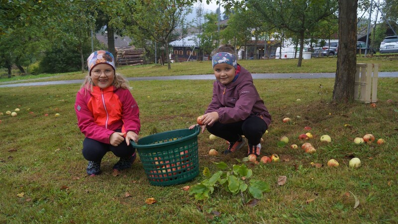Beim Ausschwärmen auf der Streuobstwiese zum Sammeln der Äpfel hatten die Kinder eine Menge Spaß.