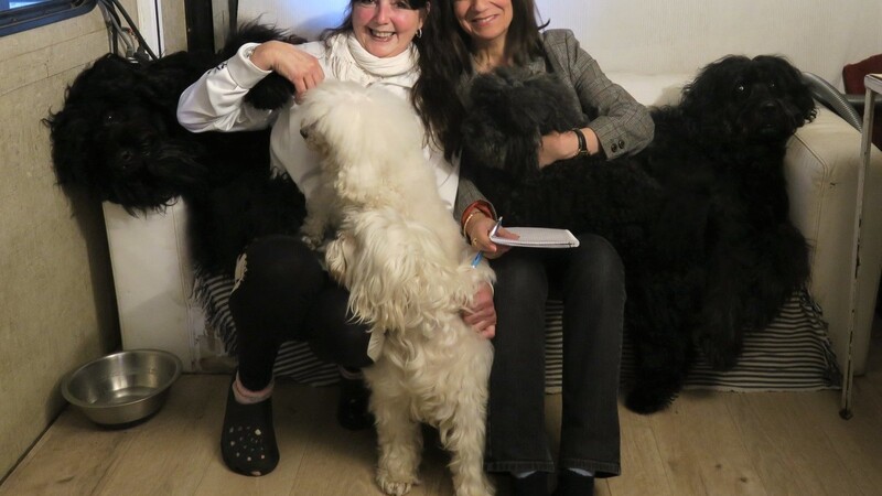 Ein Interview mit besonderem Flauschfaktor: AZ-Reporterin Annette Baronikians zu Gast bei Gina Giovannis und ihren Hunden.