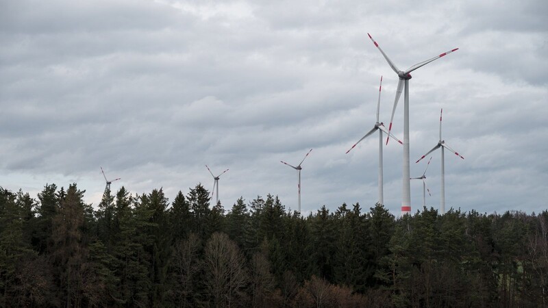 Im Waldgebiet Lindenhardter Forst der Bayerischen Staatsforsten stehen mehrere Windkraftanlagen. Das Staatsunternehmen will in seinen Wäldern insgesamt an die 450 Windräder bauen lassen.