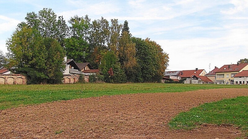 Die Klosterwiese wurde von der Gemeinde erworben und soll künftig durch eine gemischte Wohnbebauung genutzt werden. Die Klostermauer auf der Westseite (links) soll erhalten und in das Baugebiet integriert werden.
