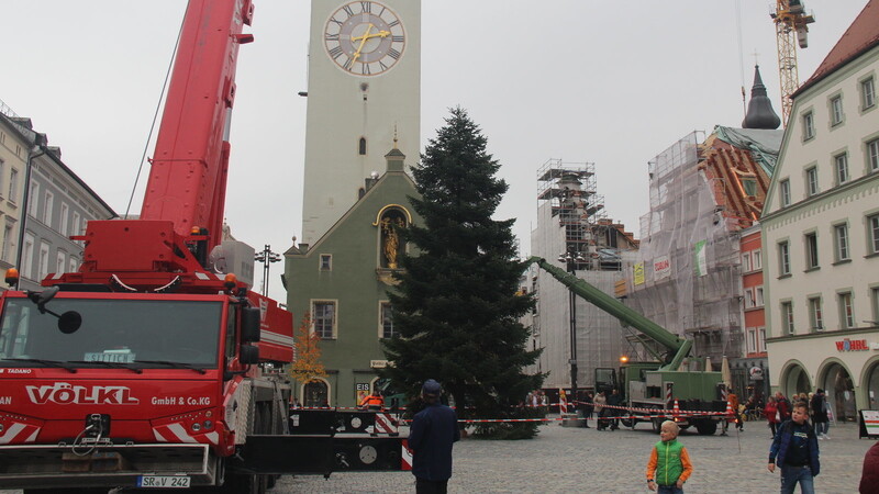 Das Werk ist vollendet: Der Christbaum steht fest verankert am Ludwigsplatz.