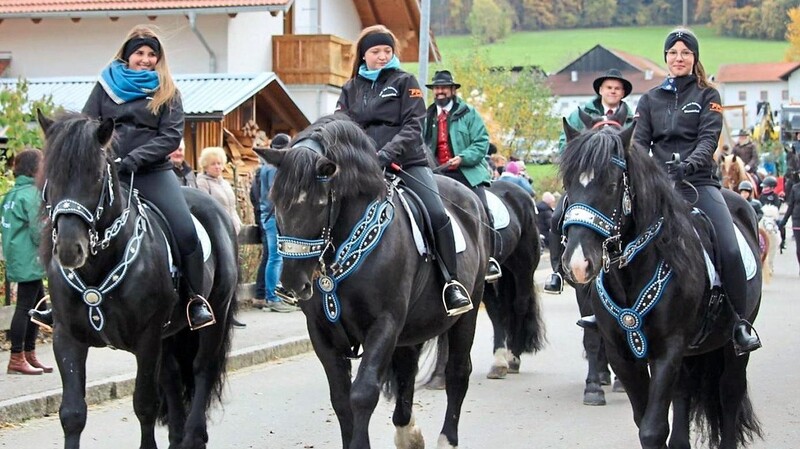 Viele junge Reiter waren wieder beim Martiniritt in Warzenried dabei.