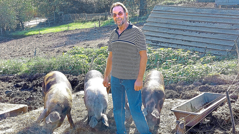 Anton Dapont und drei seiner Schweine. Die Tiere verbringen das ganze Jahr draußen im Freien. Zu fressen gibt es kein Industriefutter, sondern Fallobst, Gras und gedämpfte Kartoffeln.