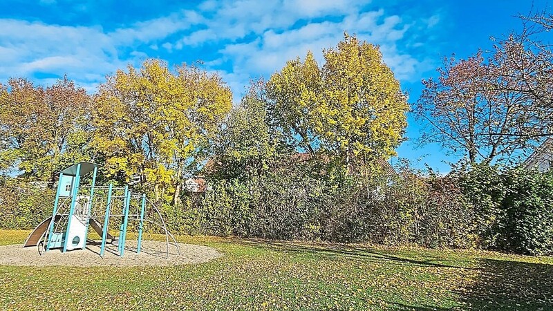 Die hochgewachsenen Ahornbäume am Spielplatz müssen derzeit nicht weichen.