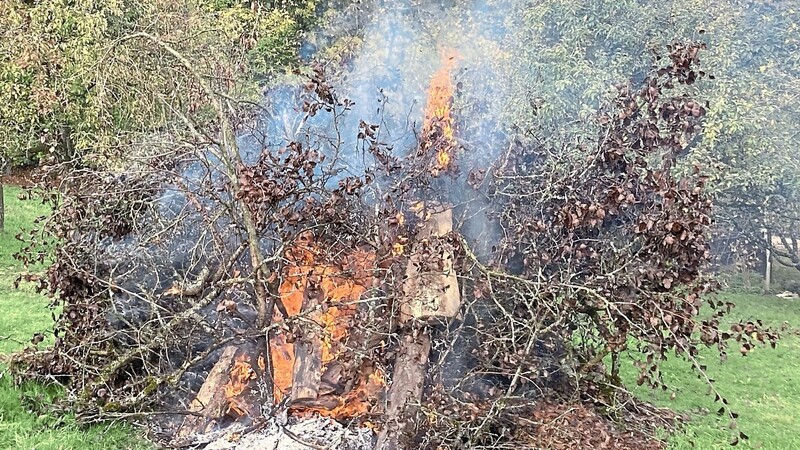 Die beseitigten Obstbäume beziehungsweise Kronenteile wurden vor Ort verbrannt.