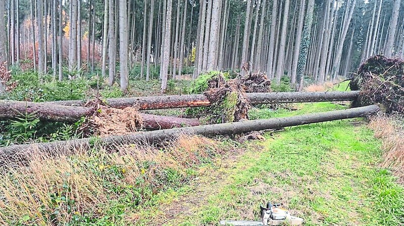 Starke Windböen haben auch in der Nacht zum Freitag nahe Parnkofen für entwurzelte Bäume gesorgt.