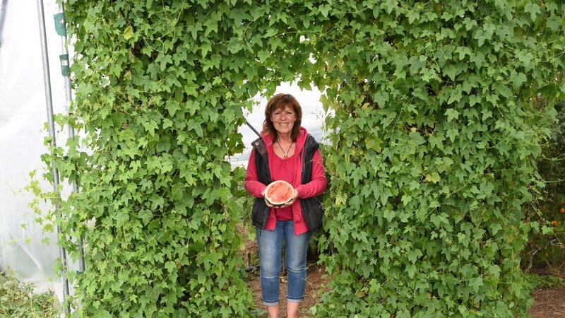 Lydia Wiethaler führt mit viel Herz den "Wurzelgarten" - besonders stolz ist sie auf ihre Wassermelonen.