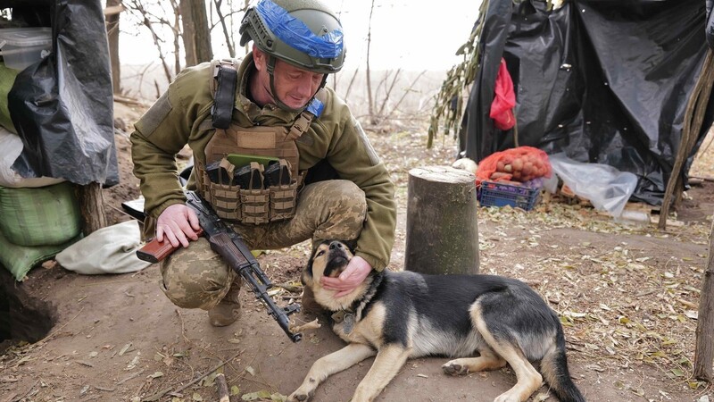 Eine Streicheleinheit von einem Soldaten für Tosha: Der Hund hat ein ausgesprochen freundliches Gemüt, ist aber nicht unbedingt ein pflichtbewusster Wächter.