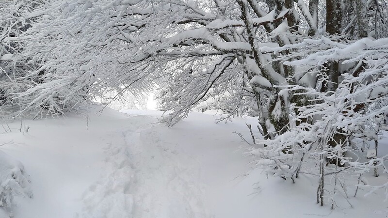 30. November: Kurz vor dem Gipfelkreuz am Pröller. Sieht aus wie ein Tunnel, mit Schneedach.