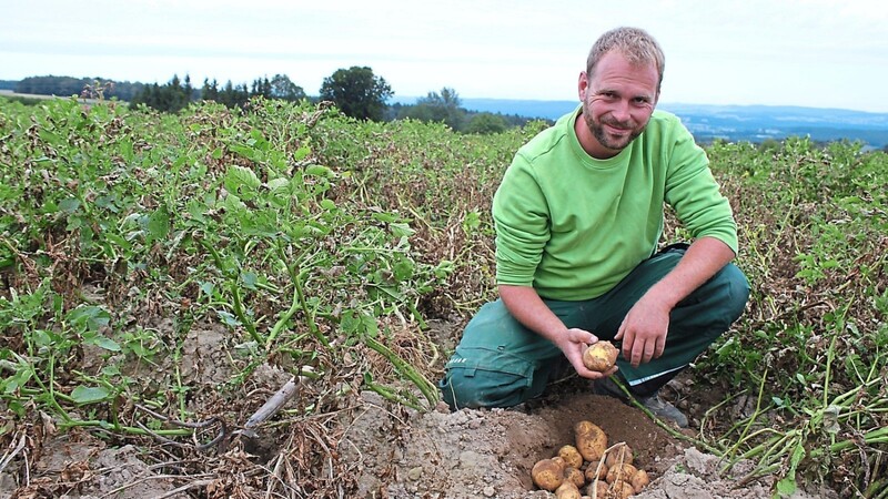 Frisch vom Feld des Biobauern Michael Simml wandern die Kartoffeln in die Kochtöpfe der Feuerwehr, die zum Erdäpfelfest einlädt.
