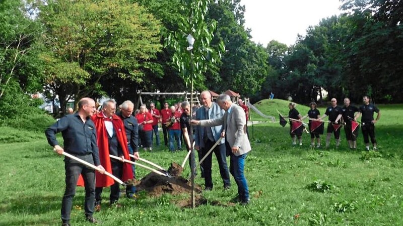 Eine Erle aus dem Westerwald wächst nun als Symbol der mittlerweile über 50-jährigen Freundschaft mit Elz im Waldmünchner Stadtpark.