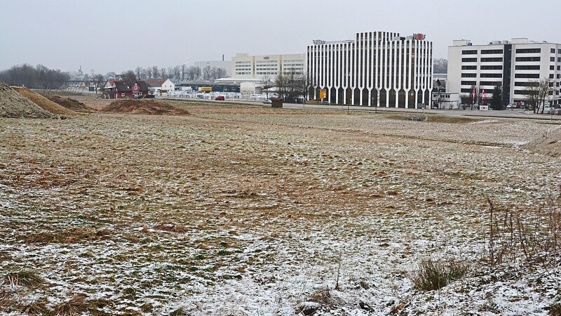 Im Gewerbegebiet "Auhof-Südwest" plant die Bachner Group ihre neue Niederlassung, inklusive des Betriebskindergartens "Igelbau". Der Mainburger Stadtrat setzte jetzt das dazu notwendige Bauleitverfahren in Gang.