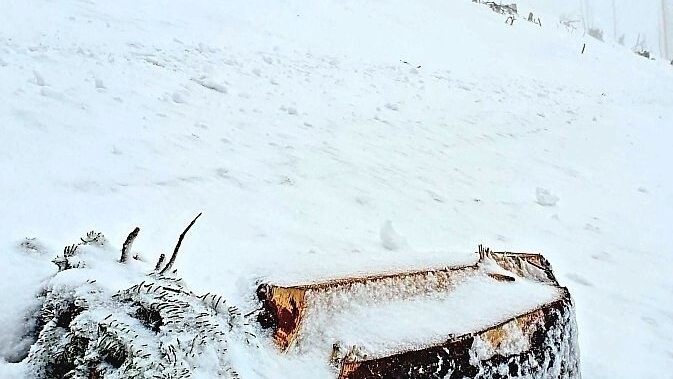 Gefahrenpotenzial unter dem Schnee: Baumstümpfe und liegengebliebenes Holz