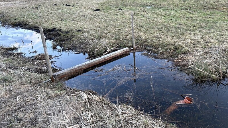 Wasserrückhalt auf einer Moorfläche im Naturschutzgebiet in Niederleierndorf.