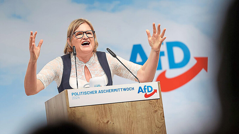 "Deutschland muss auf die Couch und die AfD ist der Therapeut", sagt die bayerische AfD-Fraktionsvorsitzende Katrin Ebner-Steiner.