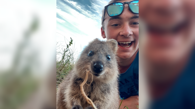 Auf Rottnest Island an der Westküste Australiens lernte Florian Eisenreich die Quokkas kennen, kleine Kängurus, die als die fröhlichsten Tiere der Welt bezeichnet werden.