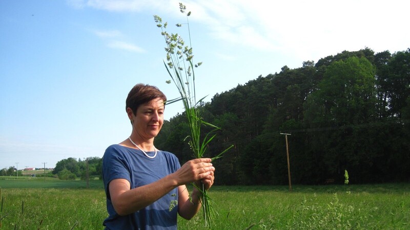 Das Projekt "A.ckerwert" der Bund-Naturschutz-Kreisgruppe Dingolfing-Landau lädt ein zum Kurs "Natur-Floristik zum Mitmachen" mit Referentin Regina Kaufmann.