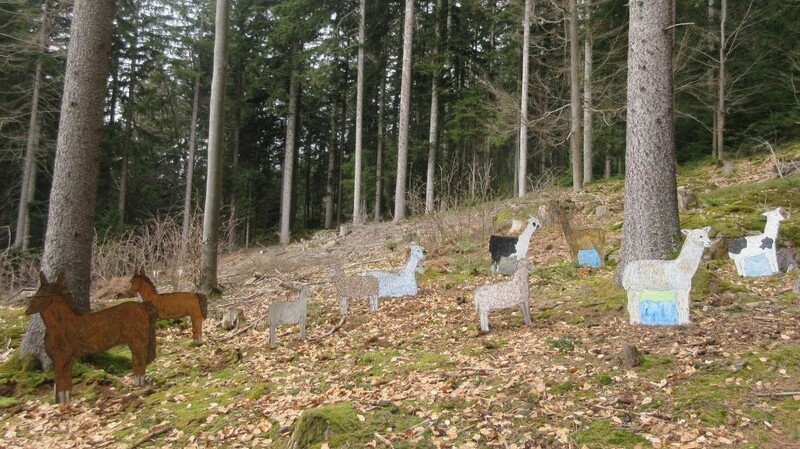 "Mit Alpakas durch das Wolfgangs-Jubiläumsjahr", so heißt die Installation im Wolfgangswald.