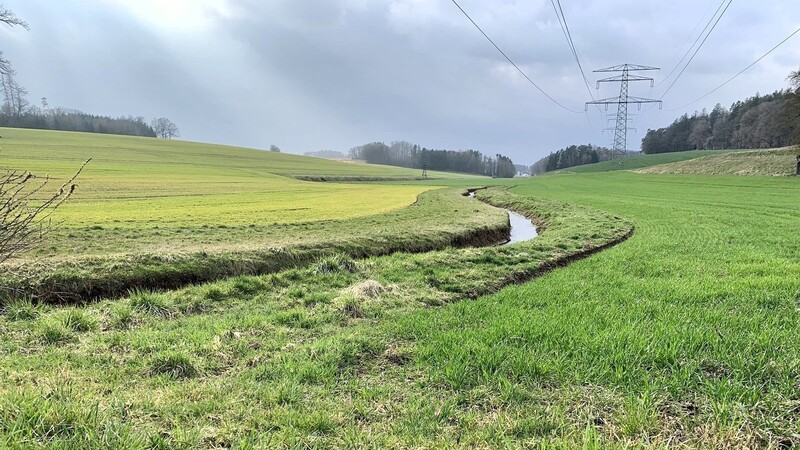 Mehr als einen Kilometer entlang des Renzenbachs (Bild) musste der Landwirt, dem diese Felder gehören, fünf Meter breite Grünstreifen anlegen. Das heißt: Er verlor allein an dieser Stelle rund einen Hektar Ackerland.