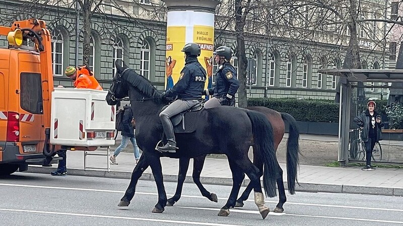 Reiten die Polizisten mit ihren Pferden auf der Straße zu ihrem Streifgebiet, etwa vom Minoritenweg zum Busbahnhof, gelten sie als "normale Verkehrsteilnehmer", sagt Michael Zaschka vom Polizeipräsidium.