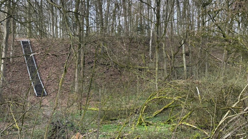 Jetzt kann man auf der Treppe am Fuchsenberg im Stadtpark wieder sporteln. Im Dezember blockierten abgebrochene Äste und umgekippte Bäume die Treppe.