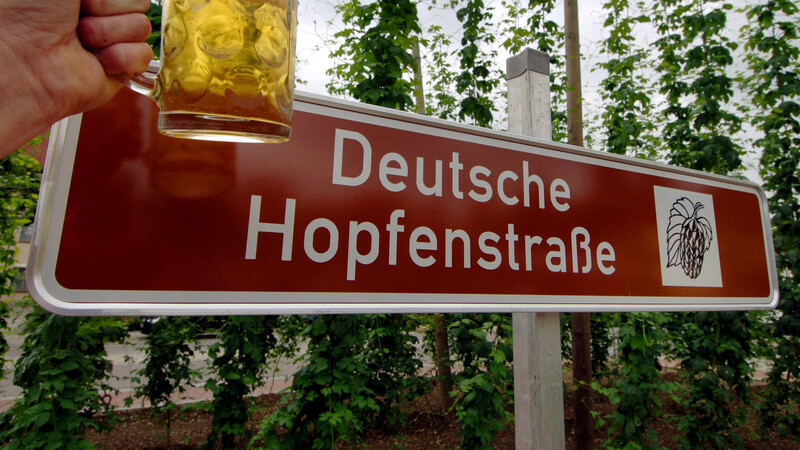 Ein wichtiges Marketinginstrument für die Hallertau ist unter anderem die Deutsche Hopfenstraße rund 50 Kilometer entlang der B 301.