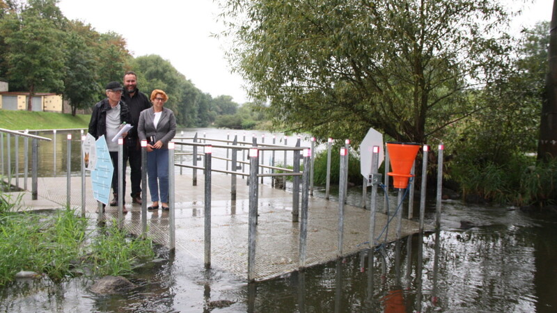 Bürgermeister Franz Reichold, Architekt Florian Brunner und stellvertretende Stadtbaumeisterin Sabine Weixel auf der neuen Wassererlebnisplattform unter der Rodinger Regenbrücke.