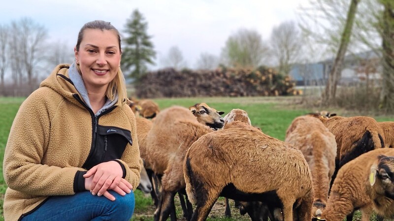 Laura Hauner und ihre Kamerun-Schafe, die auf einer Wiese an der Ortseinfahrt in Rudelzhausen zu sehen sind.