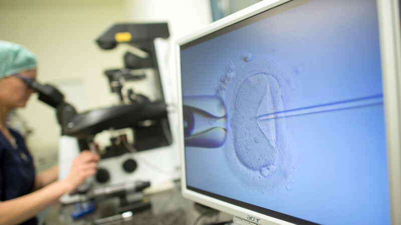 Ein Monitor zeigt in einem Kinderwunschzentrum eine Intrazytoplasmatische Spermieninjektion (ICSI). Bei der Behandlung wird ein Spermium in eine Eizelle injiziert.  Foto: Klaus-Dietmar Gabbert/dpa