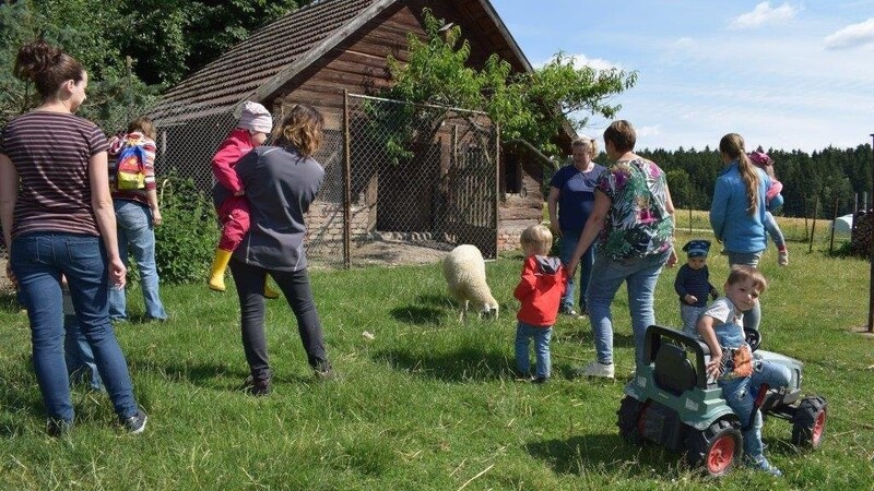 Die Kinder konnten den Tieren auf dem Hof ganz nahe kommen.