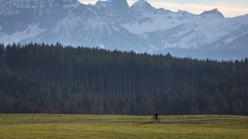 Per Bundesratsinitiative will der Freistaat Bayern Ausnahmeregeln für deutsche land- und forstwirtschaftliche Betriebe von der sogenannten EU-Entwaldungsverordnung durchsetzen.