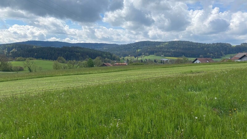 Auf dieser Fläche entsteht das neue Baugebiet "Schlosswiesen".