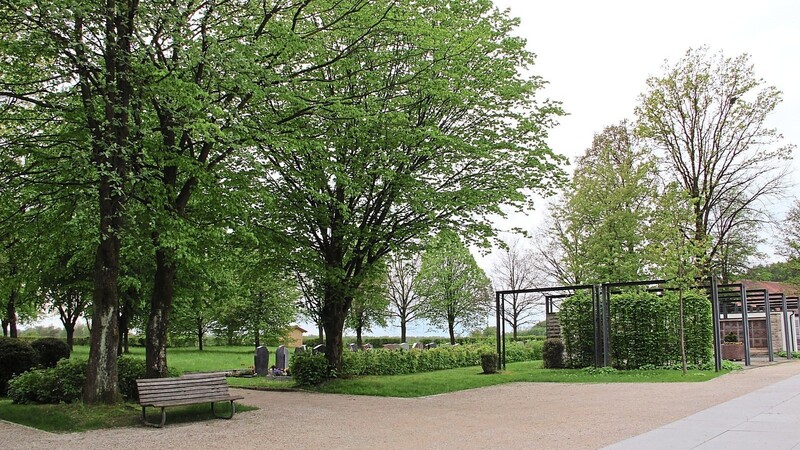 Der Markt möchte am Mettener Friedhof die Möglichkeit von Urnenbestattungen unter Bäumen schaffen.