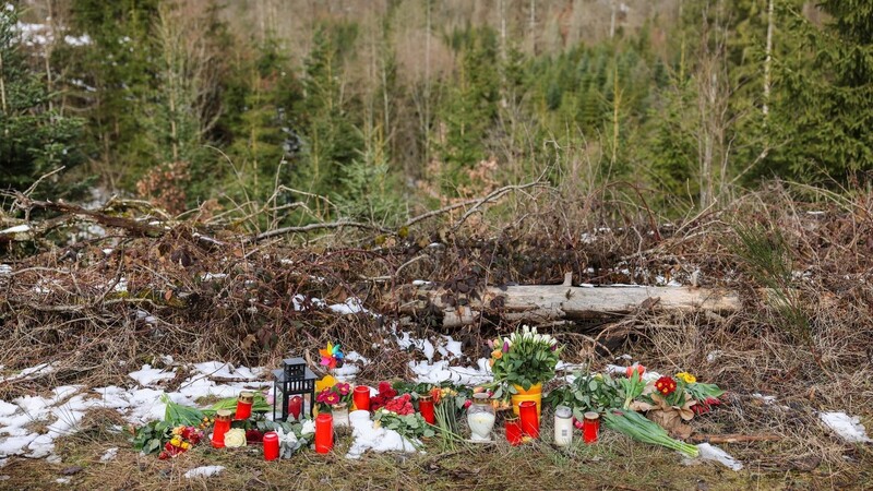 Kerzen und Blumen liegen in einem Wald bei Freudenberg in Nordrhein-Westfalen. Hier war die zwölfjährige Luisa von zwei Mädchen erstochen worden.