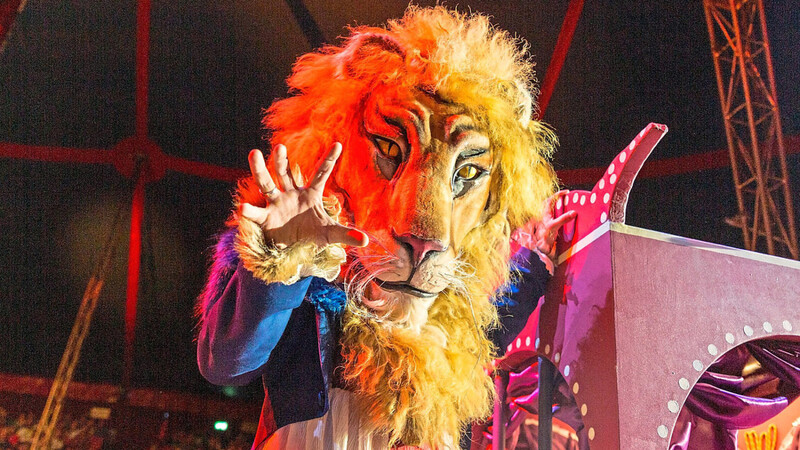 Der will nur spielen - Der Löwenmann ist einer der Protagonisten der neuen Show des Circus Krone.