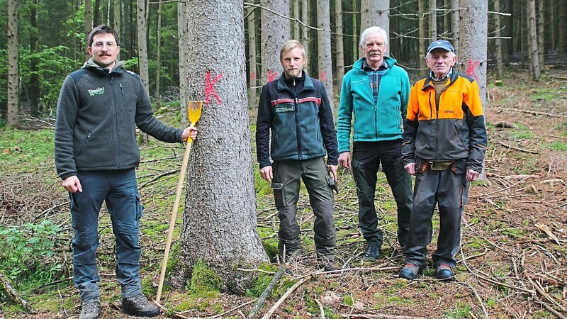 Forstanwärter Vinzent Geiger, Förster Martin Hupf, WBV-Vorsitzender Wolfgang Koller und Rechtler Max Stumreiter ließen keinen Zweifel daran, dass der Borkenkäfer für den ganzen Wald im Lamer Winkel eine Gefahr darstellt.
