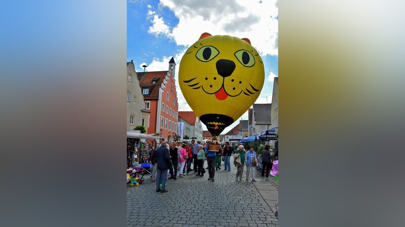 Einen Hingucker zum Auffahrtsmarkt lieferte die Stiftung "KinderHerz". Dort wurden verschiedene Modell-Ballone gezeigt.