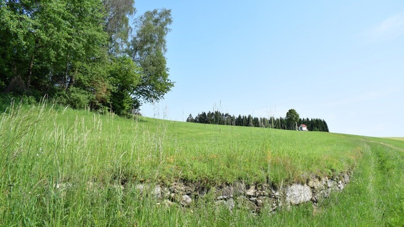 Das Bauunternehmen Müller aus Weiding (Cham) hat der Regierung von Niederbayern mitgeteilt, dass es Granitmaterial vom Himmelberg abbauen möchte.