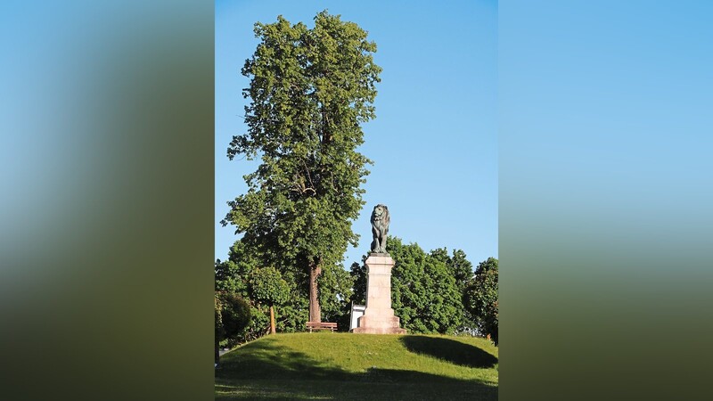 Die verbliebende Winterlinde beim Löwendenkmal in Eggmühl wird gefällt. Es sollen zwei neue Bäume gepflanzt werden, um das Gesamtbild wieder herzustellen.